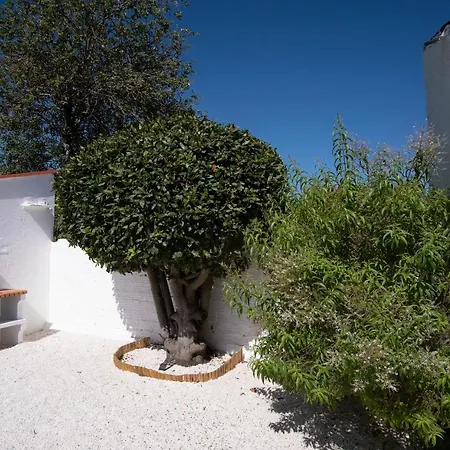 Preciosa Casa En Cerca De La Playa De Samil * فيجو